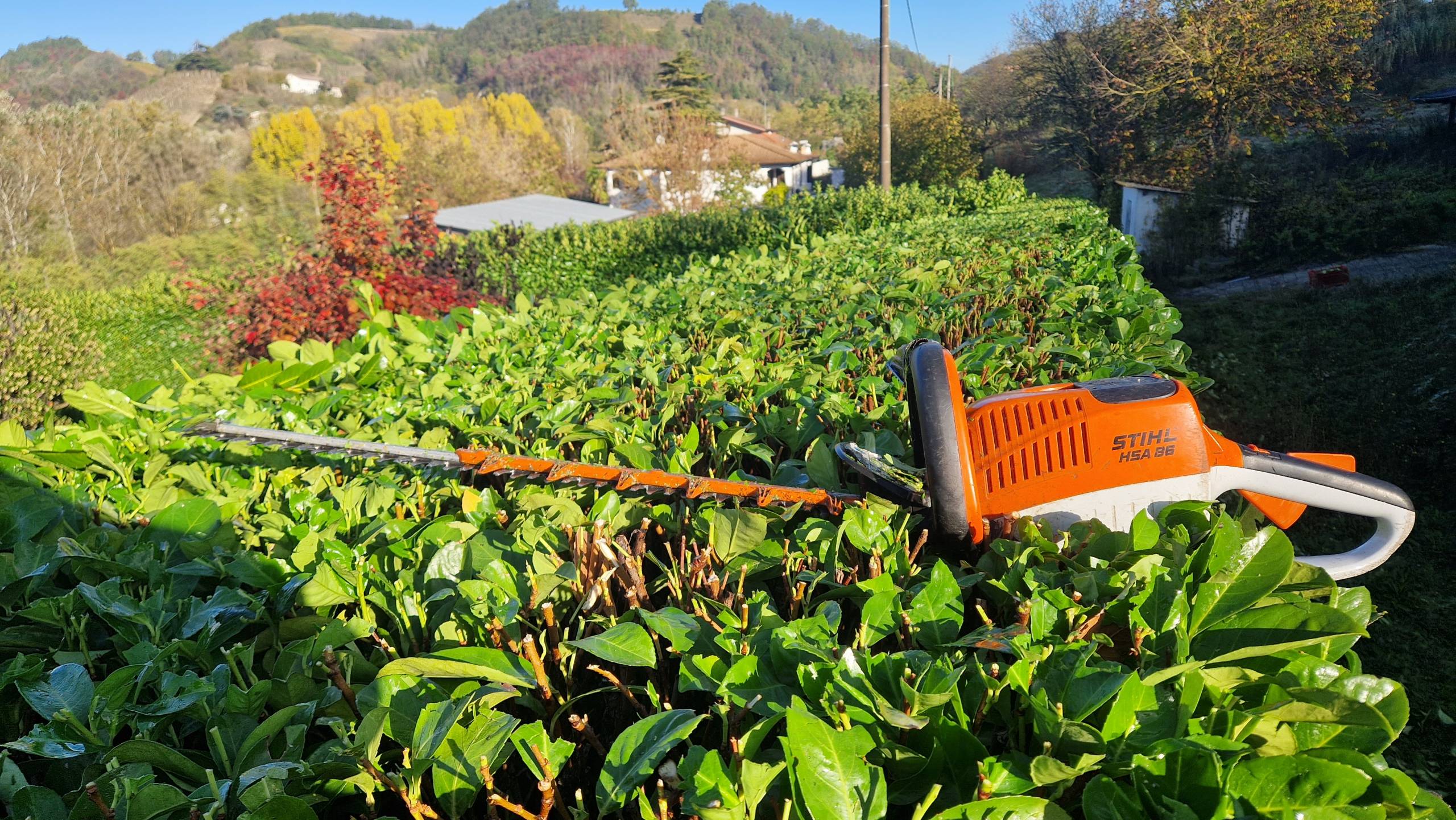 Specialisti della “Salute del Verde”