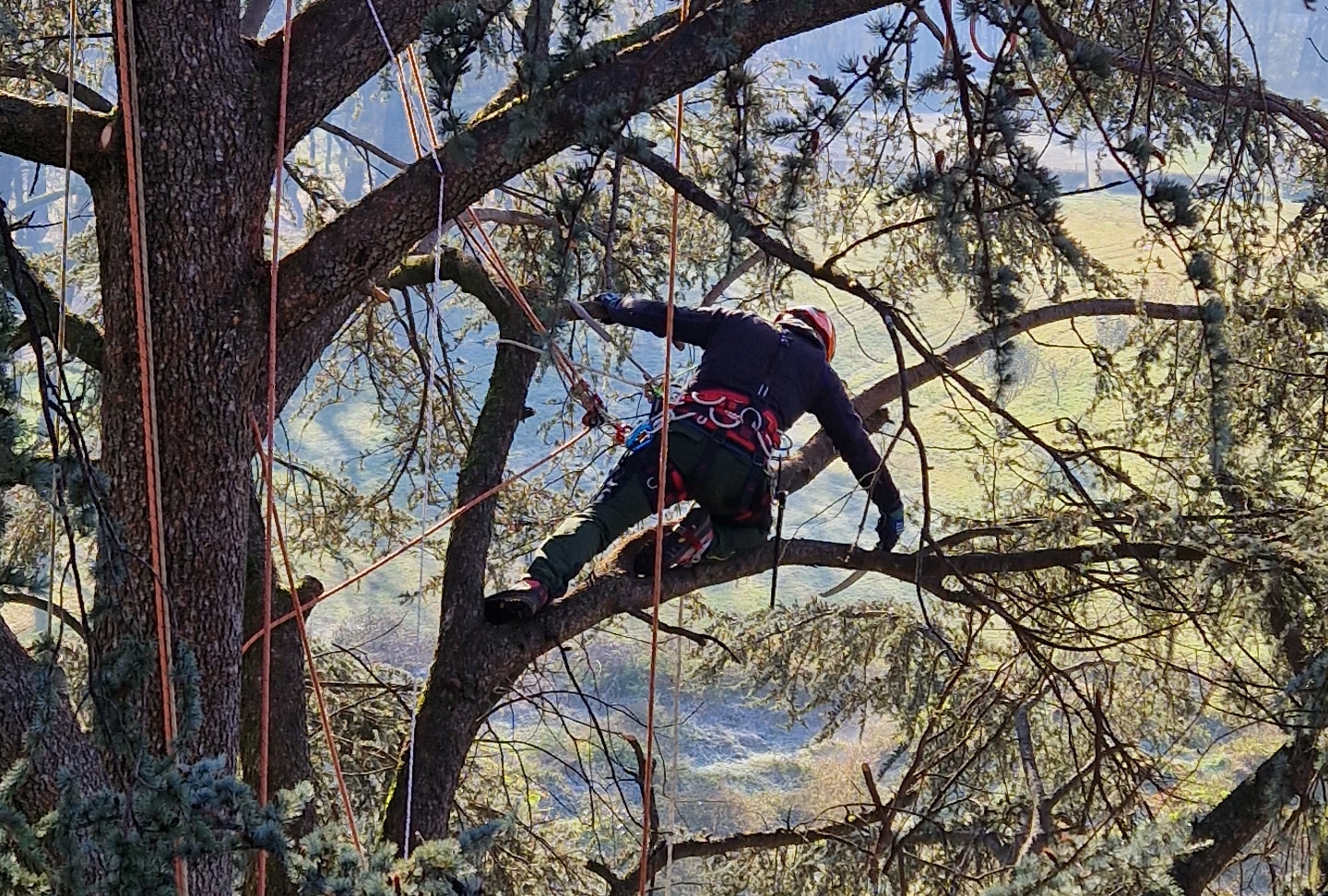 Sicurezza Certificata e Senza Rischi