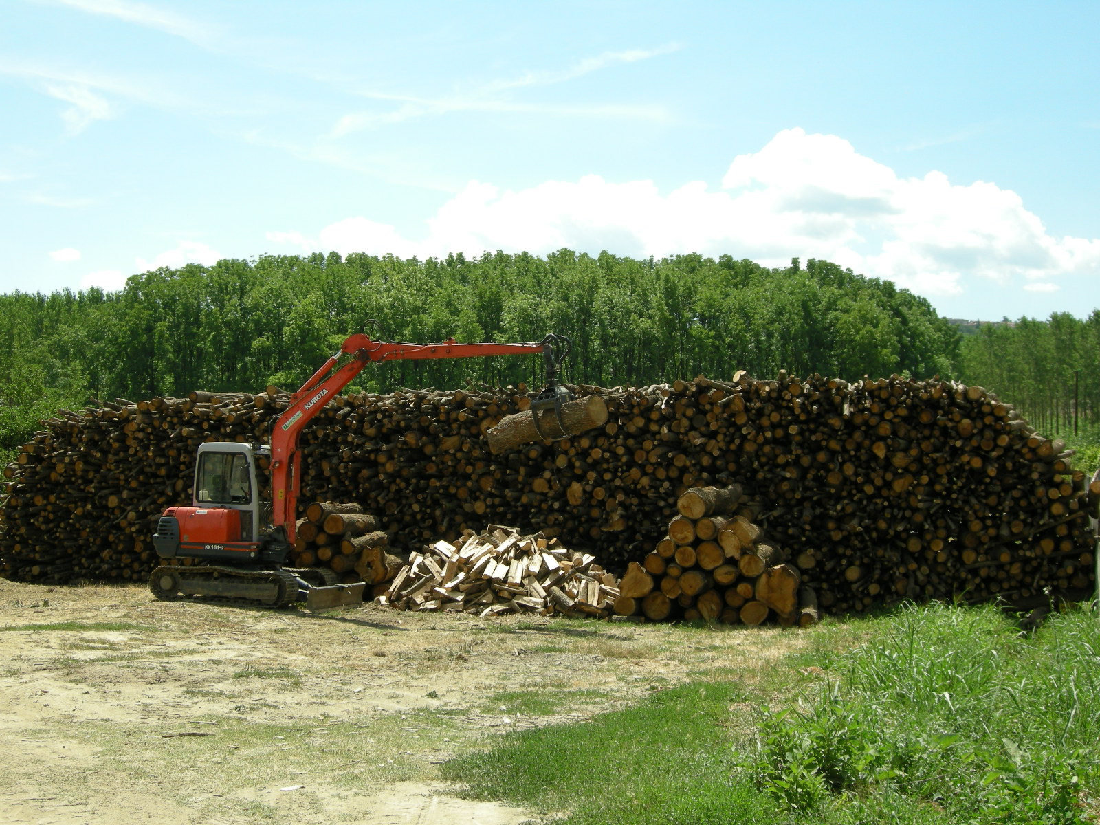 Il Valore della Tradizione